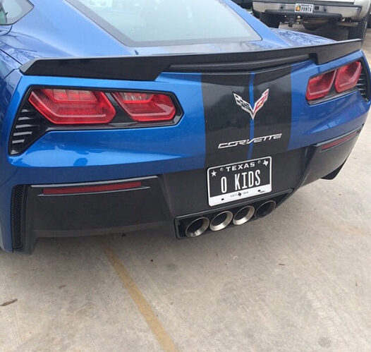 Very-accurate-license-plate