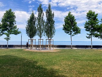 IMG_4736