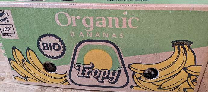 PXL_20251220_151150820