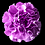 violetblau