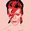 ziggy